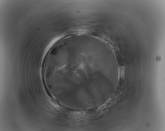 X0000097460147200802291244