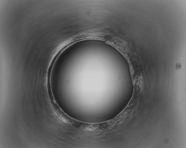 X0000097460148200802291244