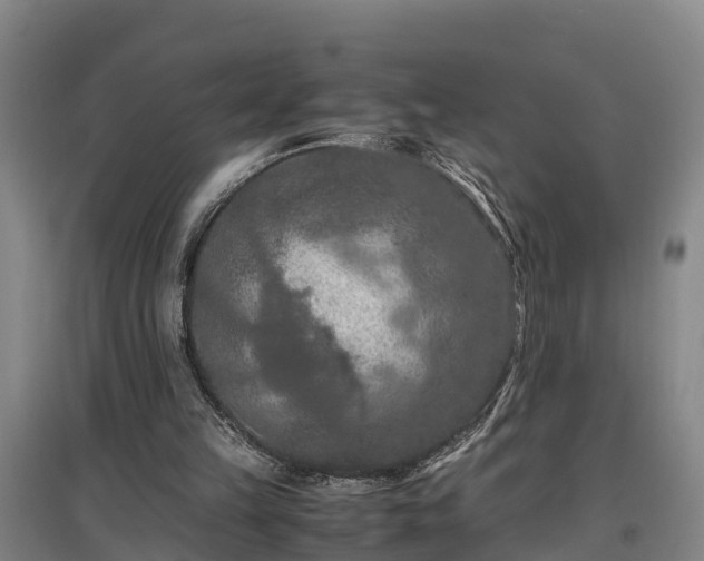 X0000097460149200802291244