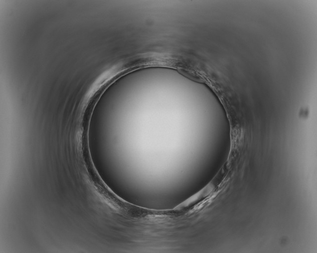 X0000097460150200802291244