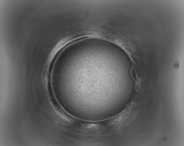 X0000097460151200802291244