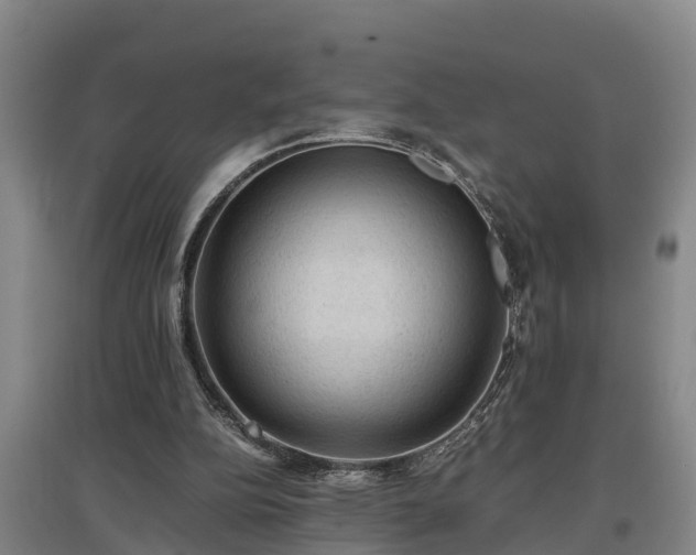 X0000097460152200802291244