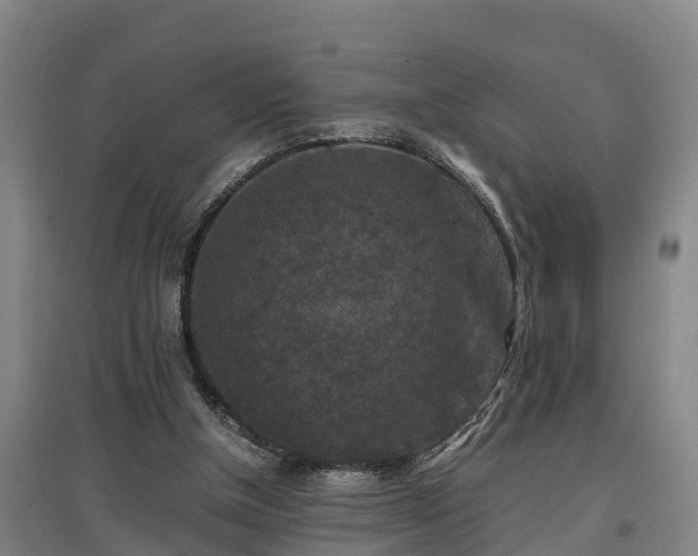 X0000097460154200802291244