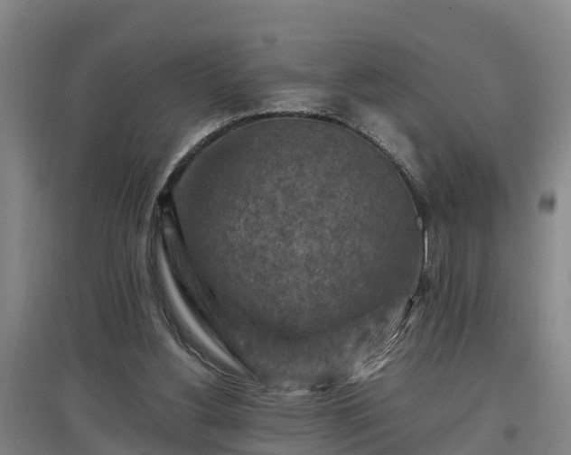 X0000097460156200802291244