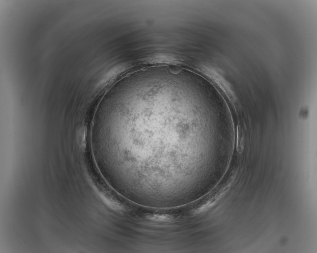 X0000097460157200802291244