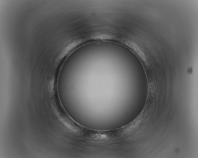 X0000097460159200802291244