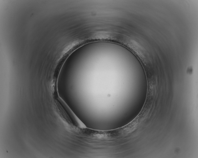 X0000097460160200802291244