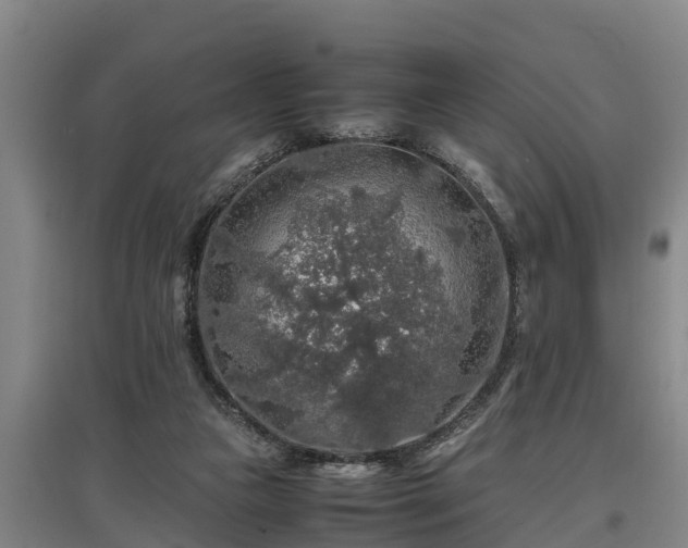 X0000097460161200802291244