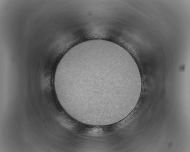 X0000097460162200802291244