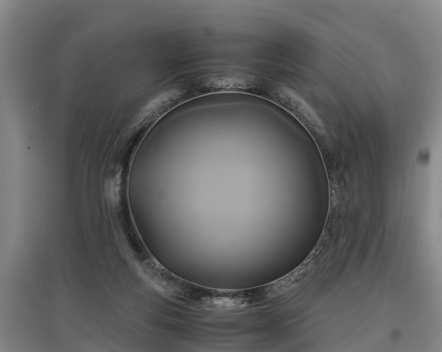 X0000097460163200802291244