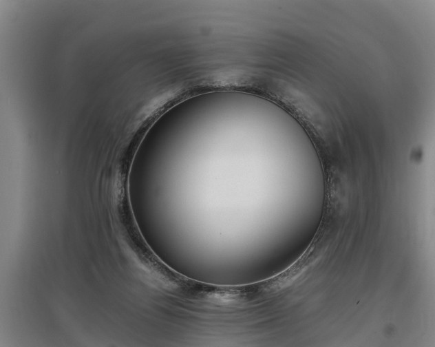 X0000097460164200802291244