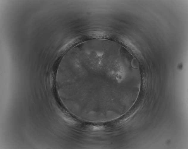 X0000097460165200802291244