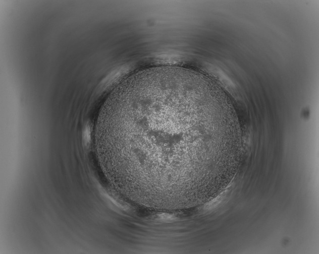 X0000097460166200802291244