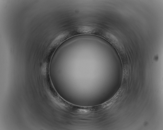 X0000097460167200802291244