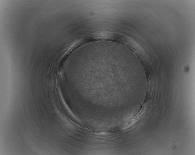 X0000097460168200802291244