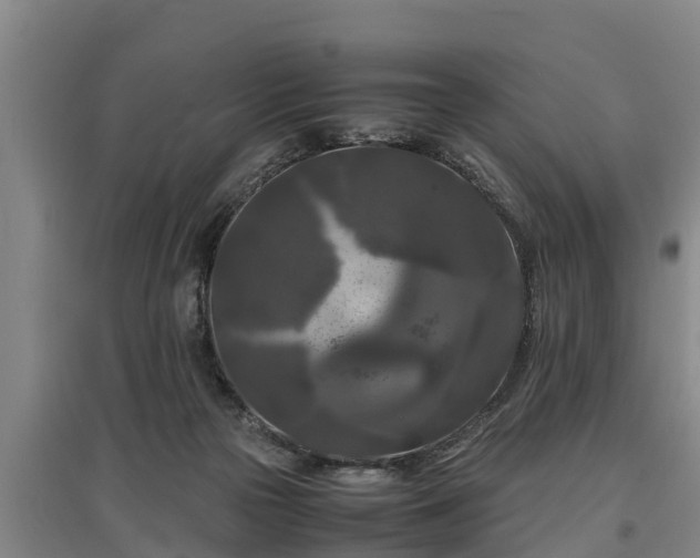 X0000097460169200802291244