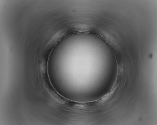 X0000097460170200802291244