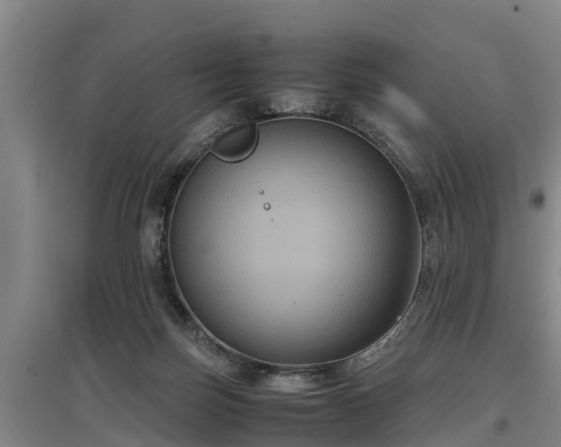 X0000097460171200802291244