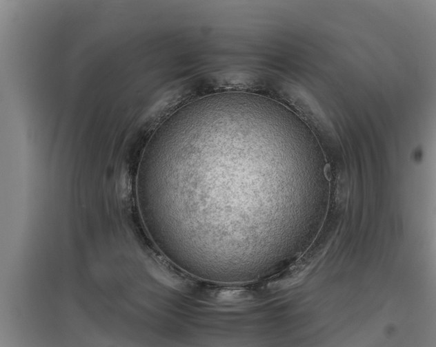 X0000097460173200802291244