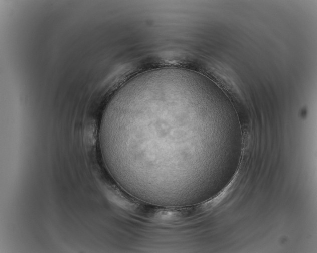 X0000097460174200802291244