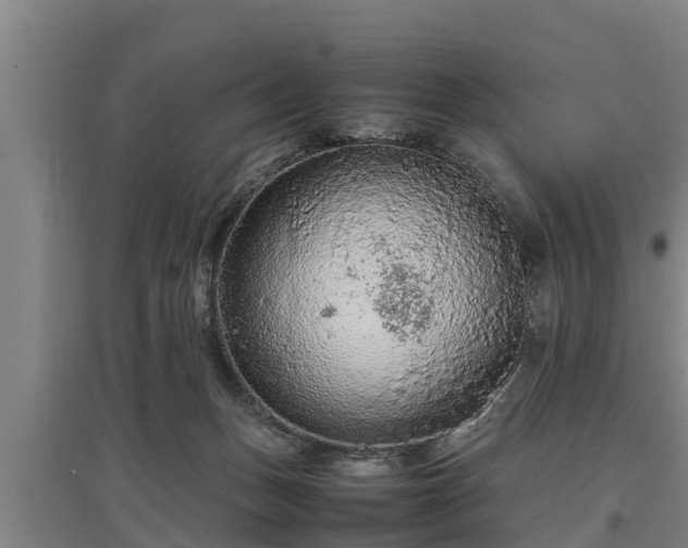 X0000097460175200802291244