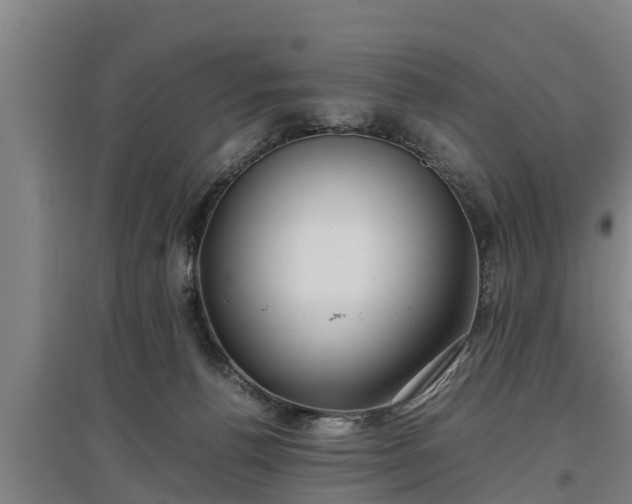 X0000097460176200802291244