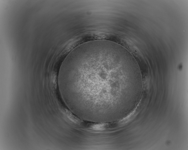 X0000097460178200802291244