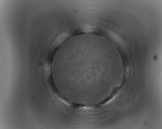 X0000097460180200802291244