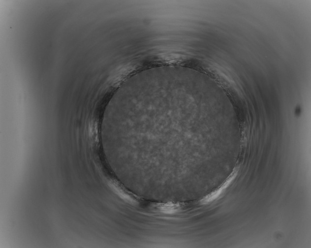 X0000097460182200802291244