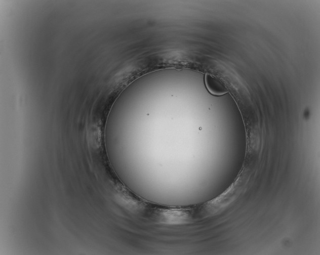 X0000097460183200802291244