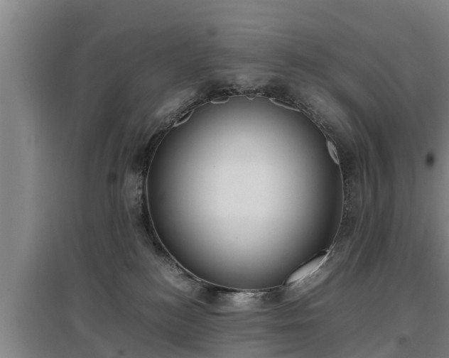 X0000097460184200802291244