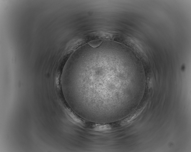 X0000097460185200802291245