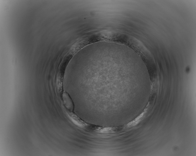 X0000097460186200802291245