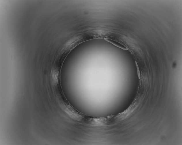 X0000097460188200802291245