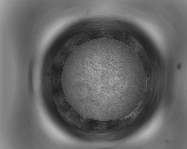 X0000097460191200802291245