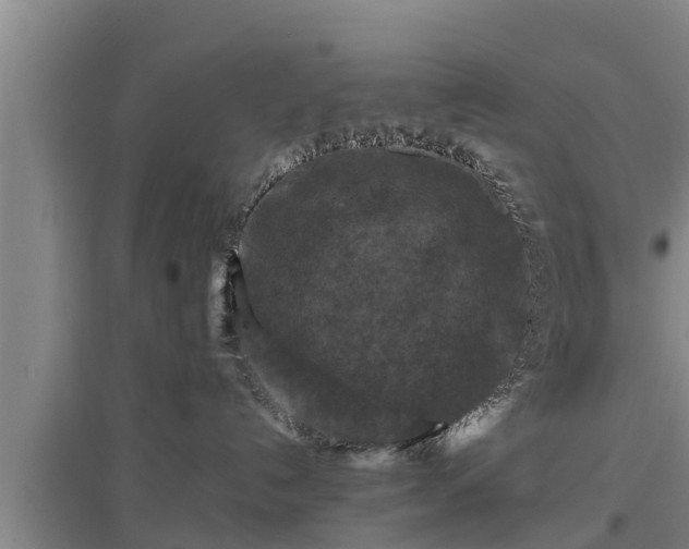 X0000097460192200802291245