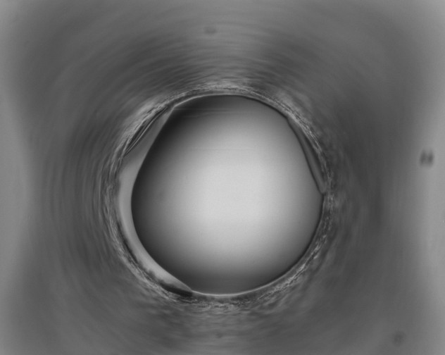 X0000097460193200802291244