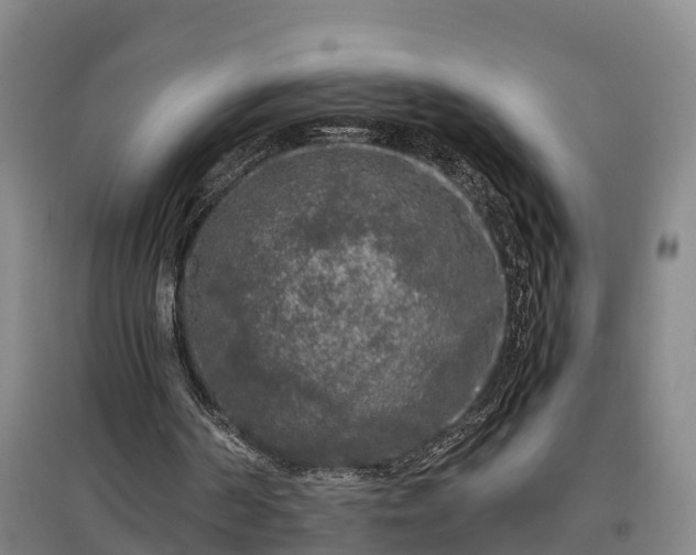 X0000097460194200802291244