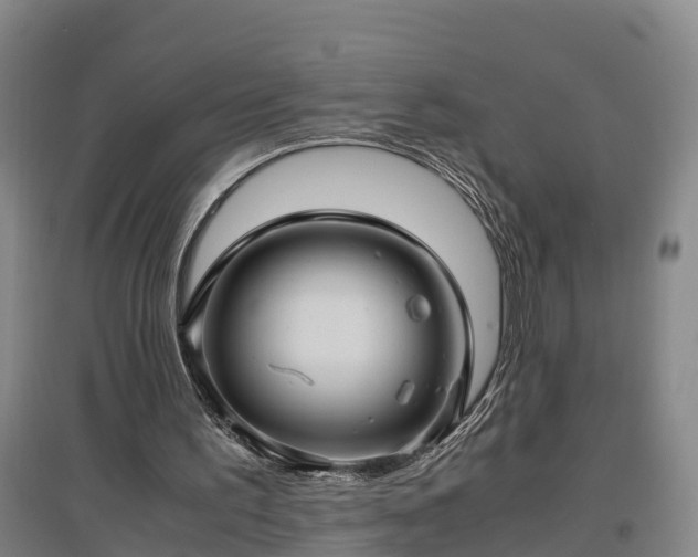 X0000097460195200802291244