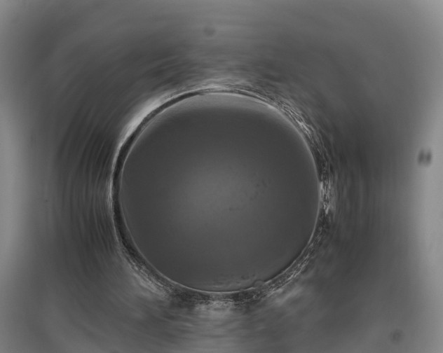 X0000097460196200802291244