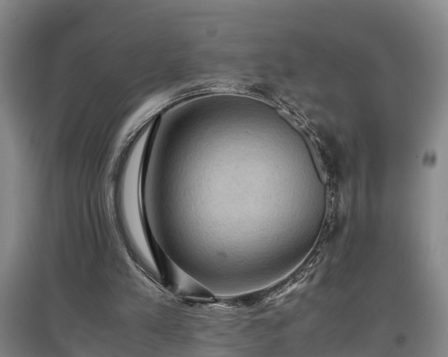 X0000097460197200802291244