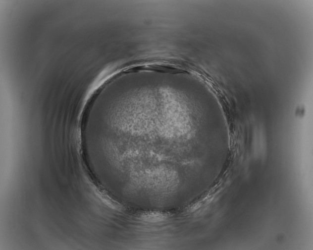 X0000097460198200802291244