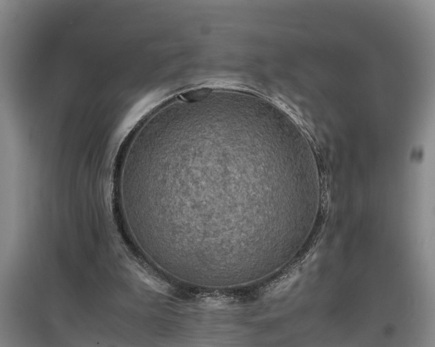 X0000097460199200802291244