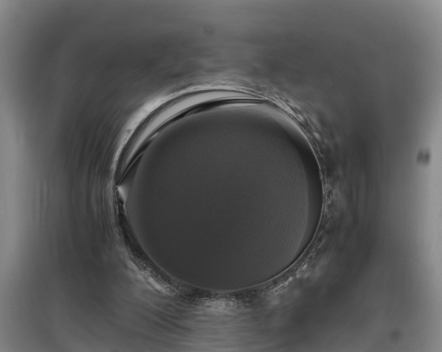 X0000097460200200802291244