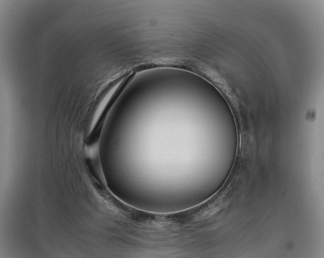 X0000097460201200802291244