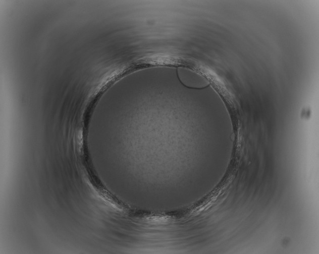 X0000097460202200802291244