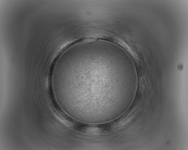 X0000097460203200802291244