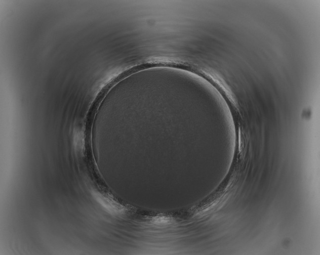 X0000097460204200802291244