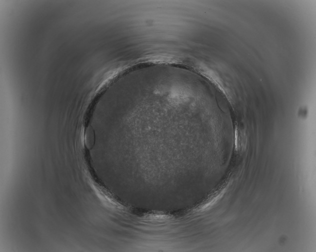 X0000097460205200802291244