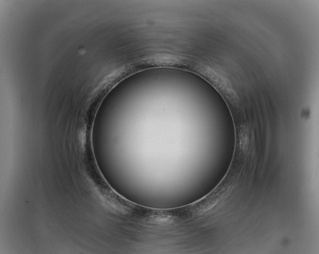 X0000097460206200802291244